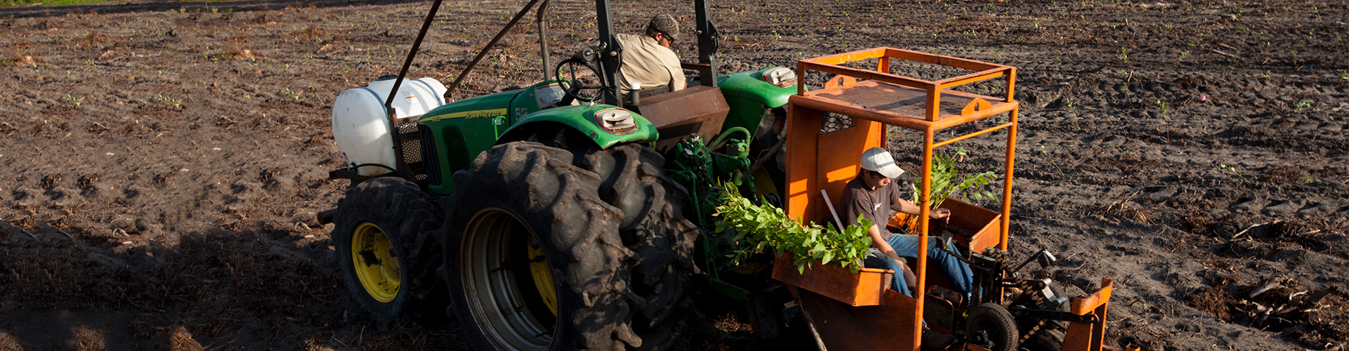 Farm Labor Southeastern Coastal Center for Agricultural Health and Safety