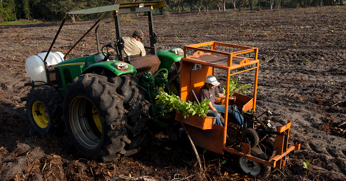 Farm Labor Southeastern Coastal Center for Agricultural Health and Safety